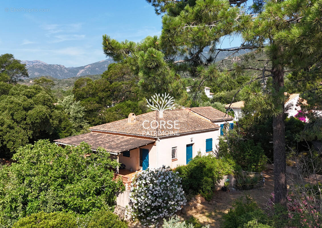 Maison à PORTO-VECCHIO