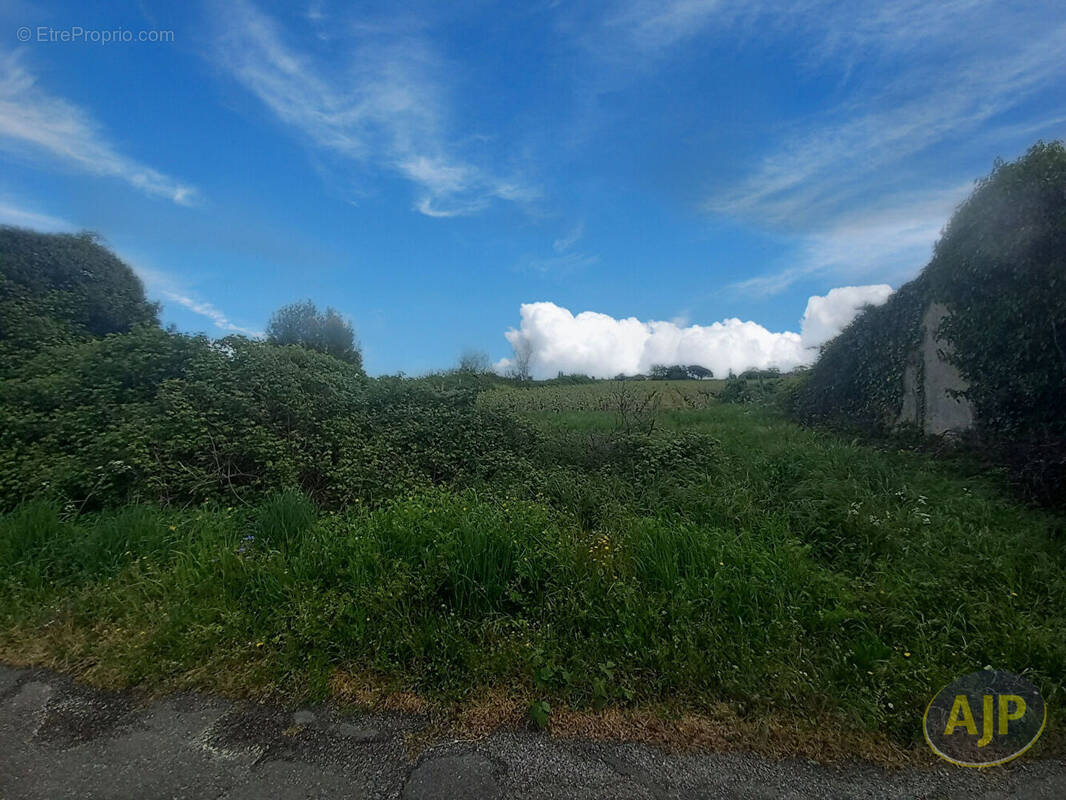 Terrain à SAINT-GERMAIN-D&#039;ESTEUIL