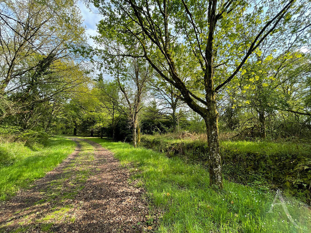 Terrain à CUZION