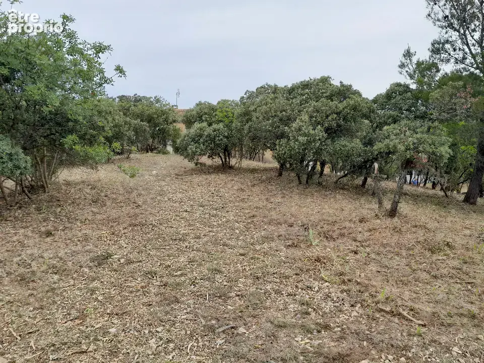 Terrain à VILLENEUVE-LES-AVIGNON