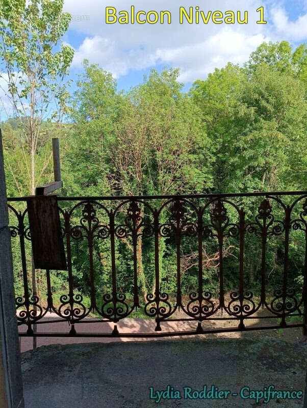 Maison de maître de 10 pièces avec terrain RARE à Thiers (63300) - photo 12