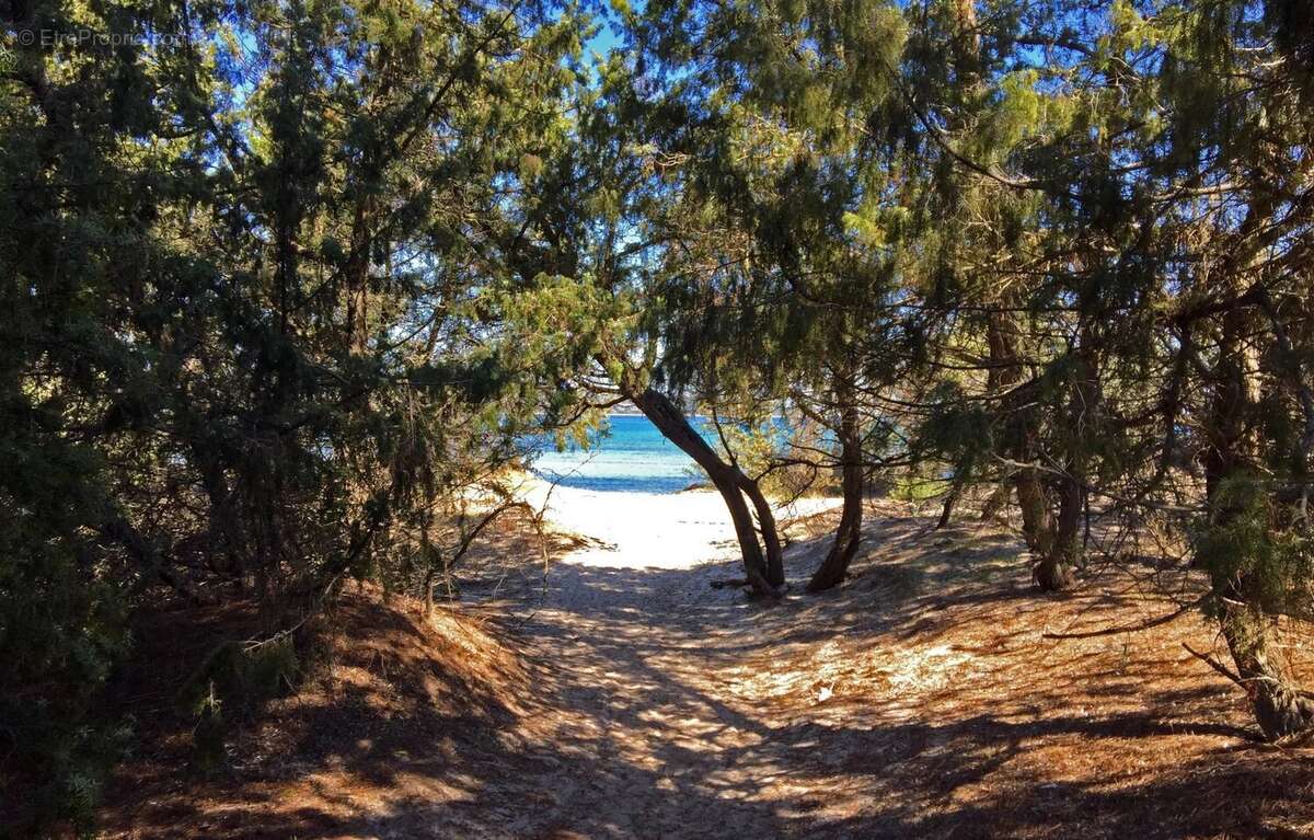 Maison à PORTO-VECCHIO