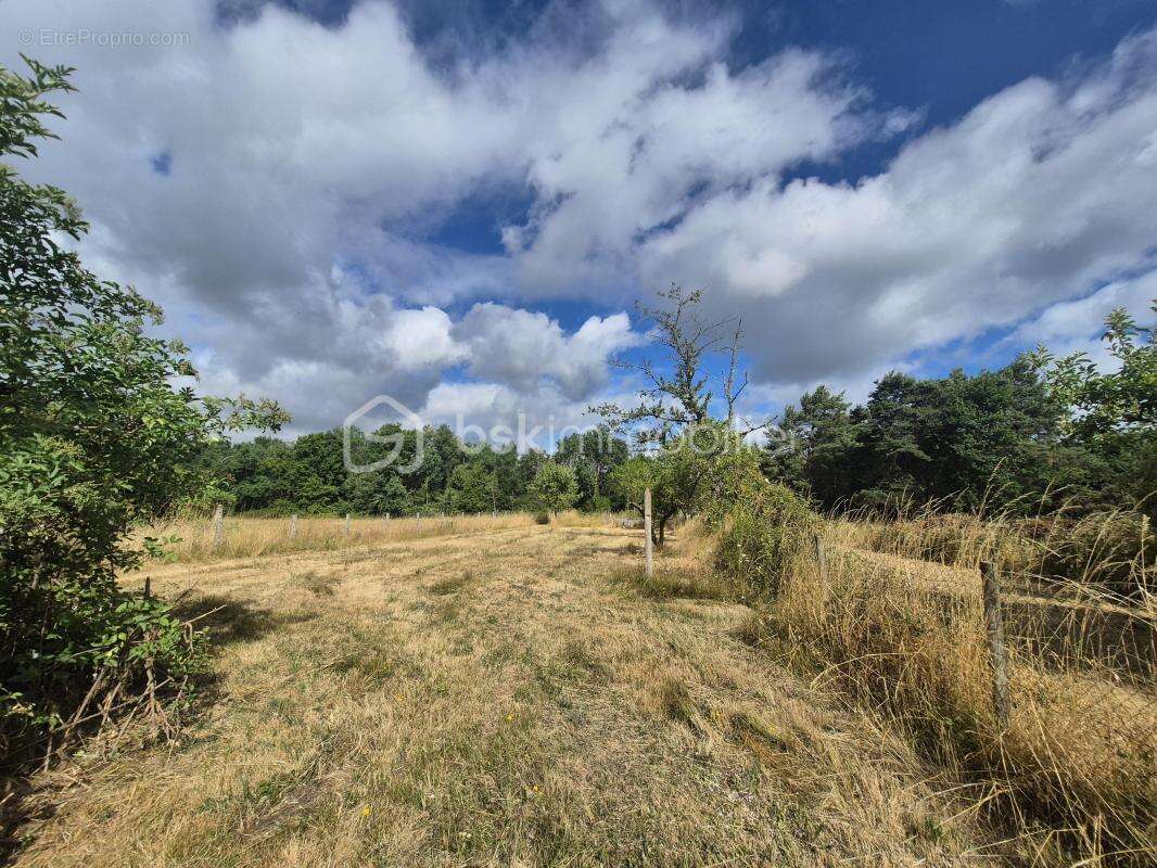 Maison à OUZOUER-SUR-LOIRE