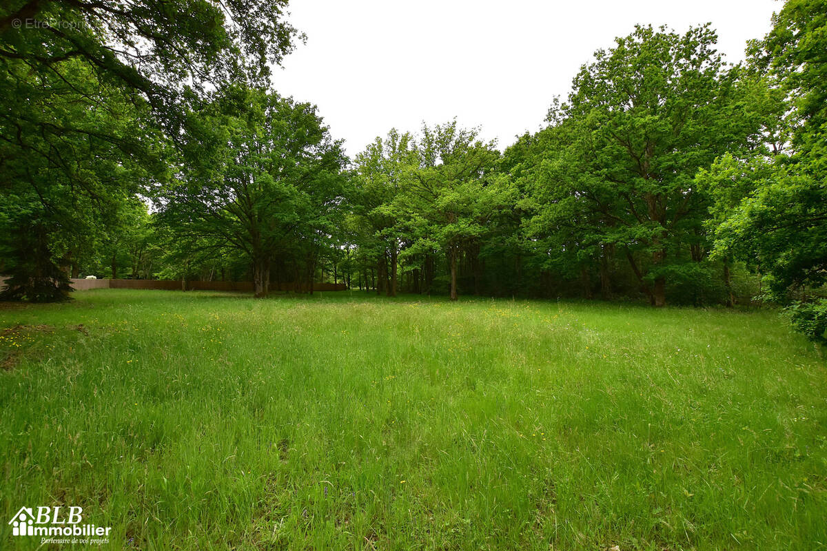 Terrain à GROSROUVRE