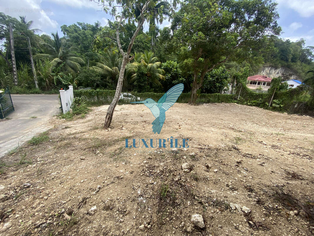 Terrain constructible de 1 223 m2   Plat, viabilisé et clôturé - photo 2