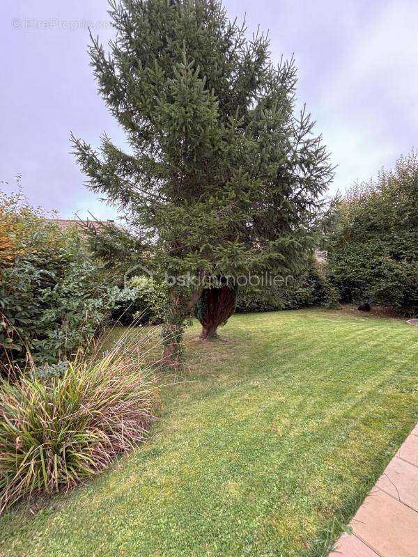 Maison à FEUQUIERES-EN-VIMEU