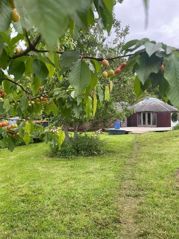  Écolieu en centre bourg - 2,4 ha - Scaër - photo 2