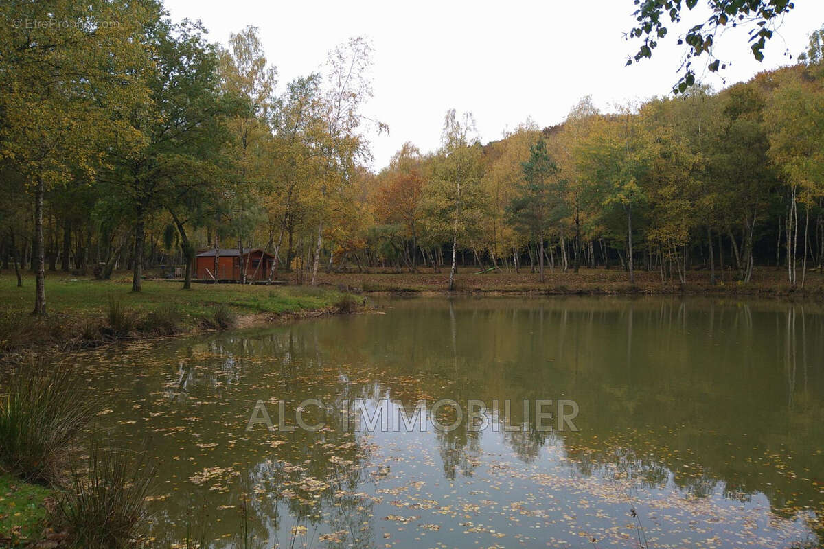 Terrain à SAINT-LEONARD-DES-BOIS