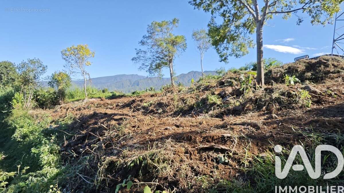 Photo 4 - Terrain à LE TAMPON