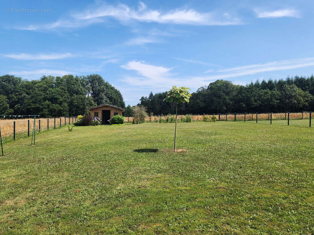 Photo 6 - Maison à ROYERES