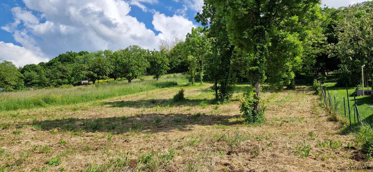 Terrain à SAINT-GEORGES-SUR-ALLIER