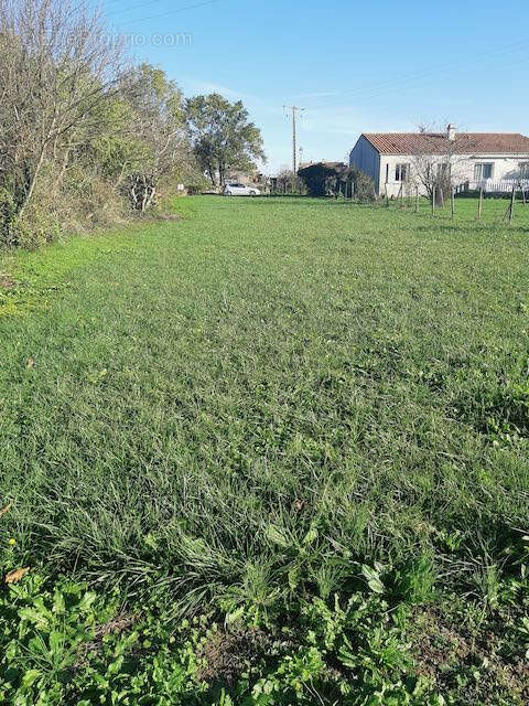 Terrain à SAINTE-HERMINE