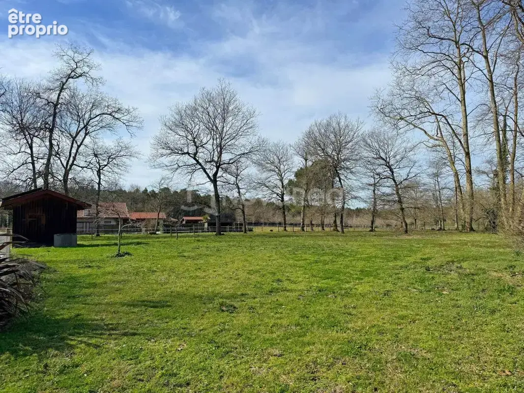 Propriété 7 pièces - photo 8