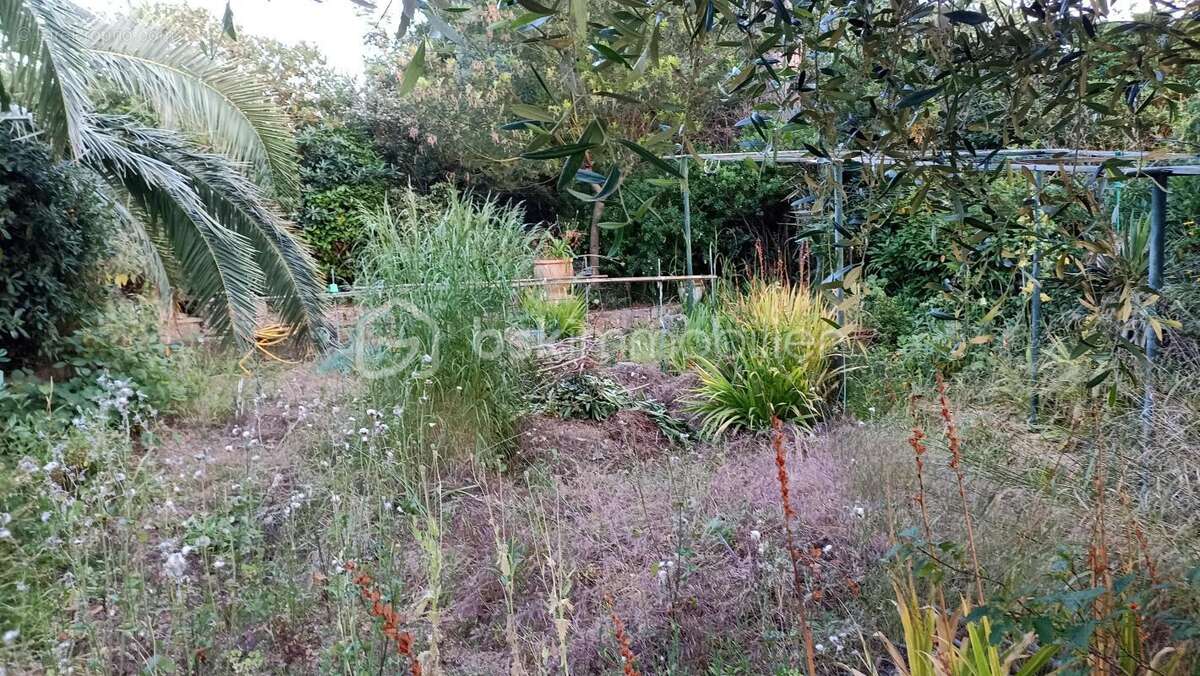 Maison à ROQUEBRUNE-SUR-ARGENS