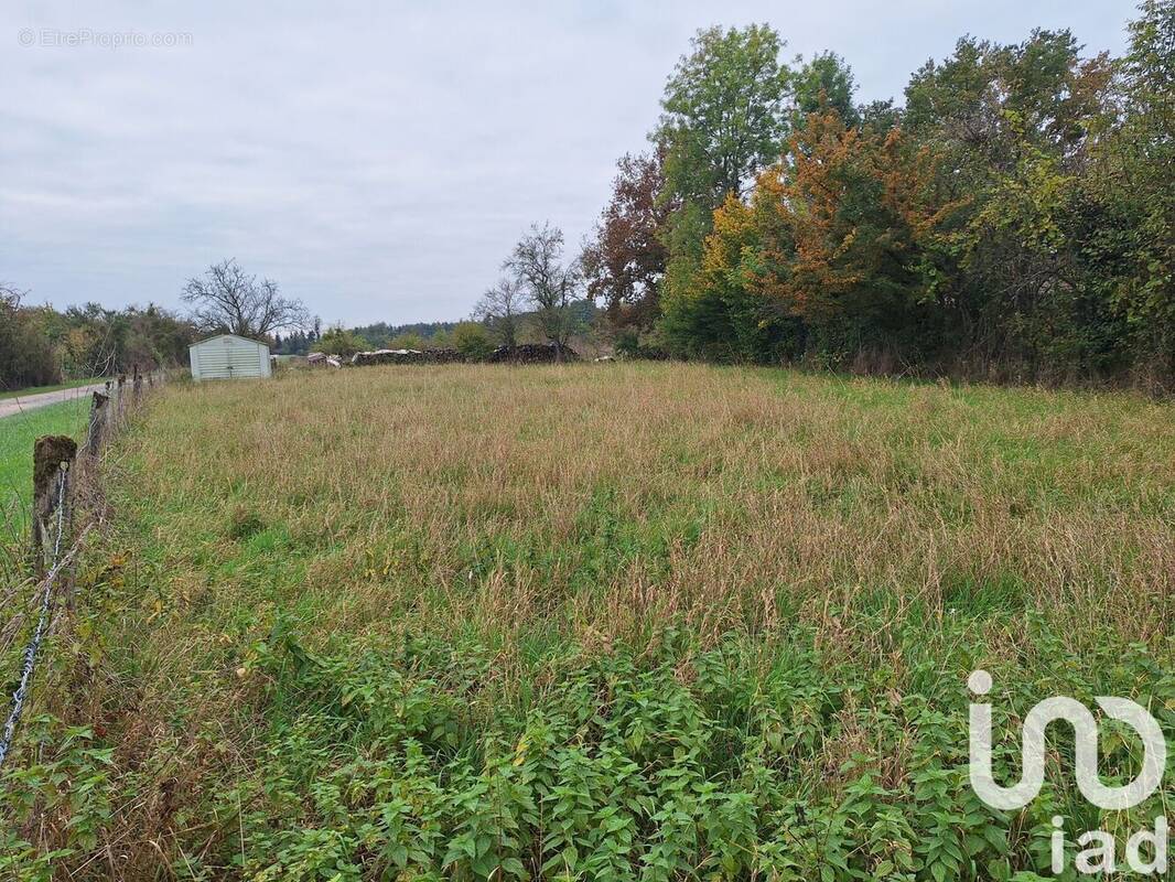 Photo 1 - Terrain à ECORDAL