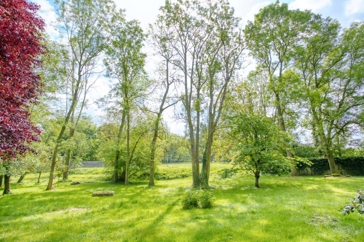 Maison 651 m² à Chateau-Landon  - photo 4