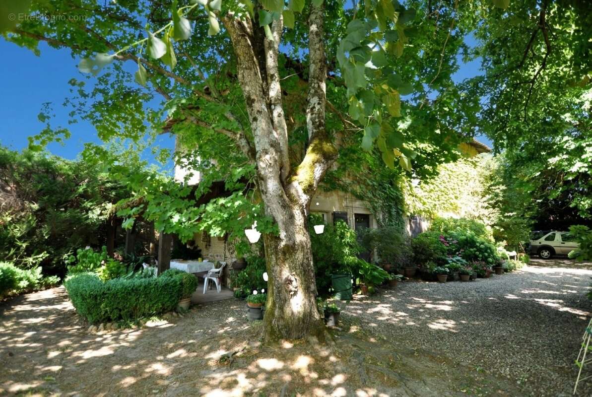 Maison de campagne dans parc arboré 3000 m². Moissieu sur Dolon 38270 - photo 3