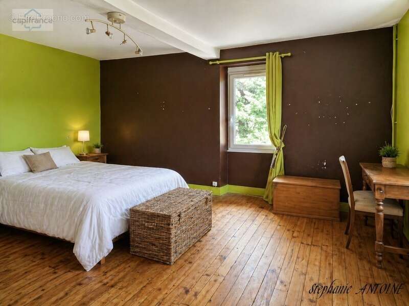 Propriété de caractère – 6,7 hectares – dépendances – ossages - photo 18