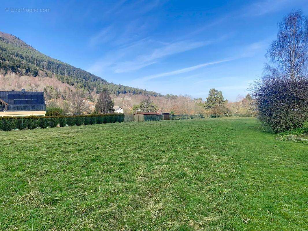 Terrain à PLAINE