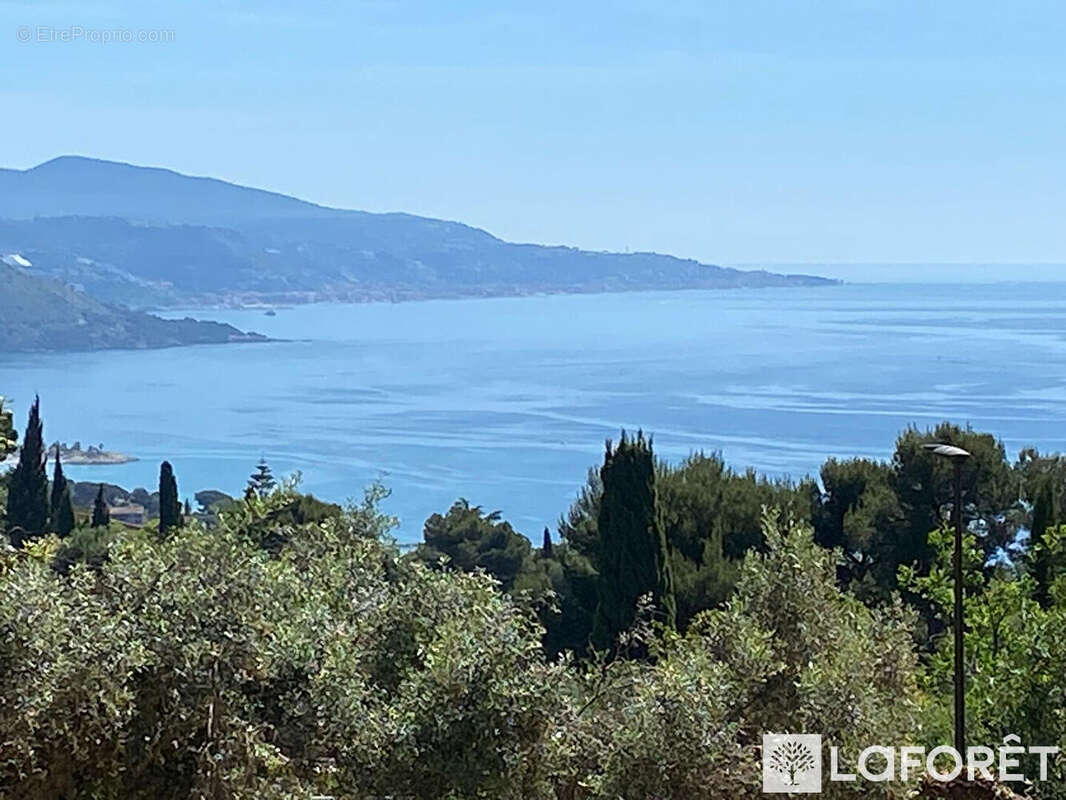 Terrain à ROQUEBRUNE-CAP-MARTIN