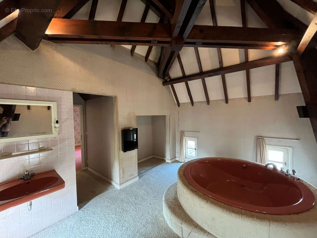 Cuisery :Grande villa avec piscine - photo 22
