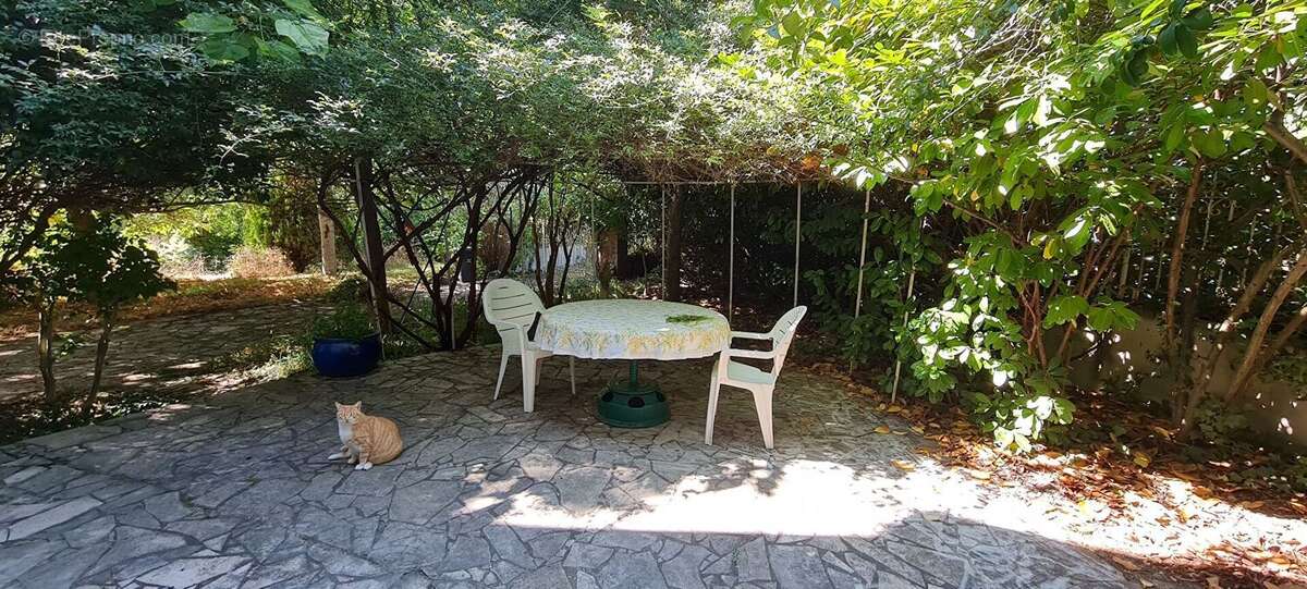 Toulousaine de 206m²avec dépendances sur un terrain de  4h 5900 - photo 10