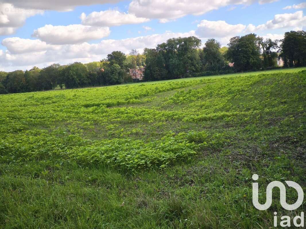 Photo 2 - Terrain à HARGICOURT