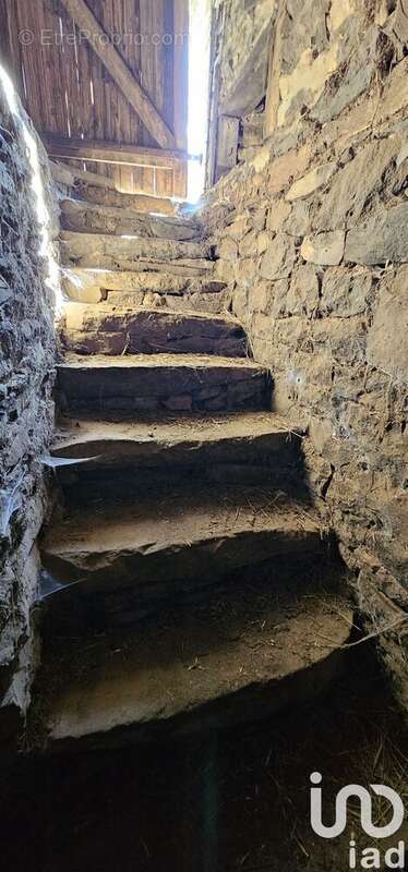 Photo 9 - Maison à CHAUSSENAC