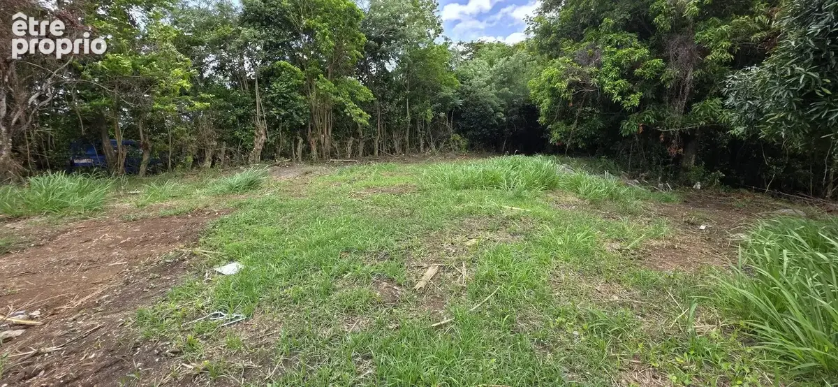 Terrain 1 485 m² à vendre à Le Lamentin (97232) - photo 4