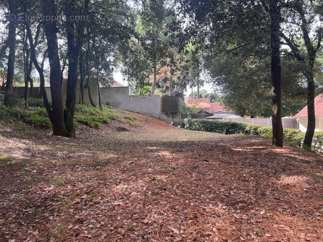 Terrain à SAINT-BREVIN-LES-PINS