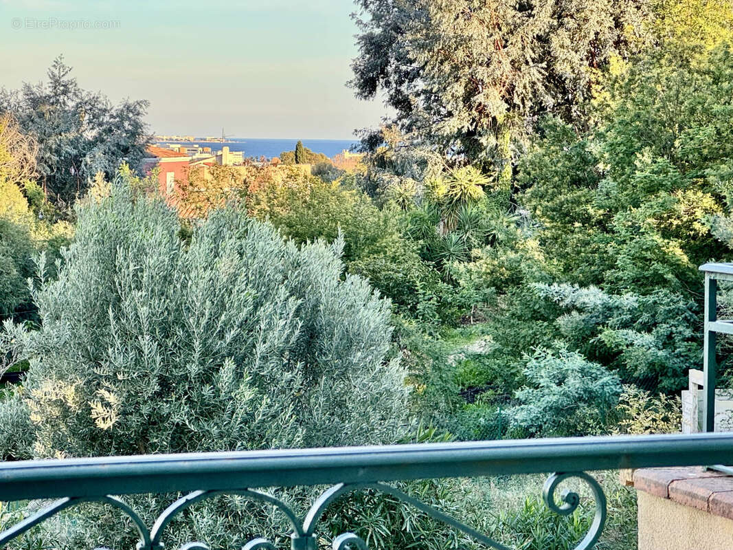 Maison à MANDELIEU-LA-NAPOULE