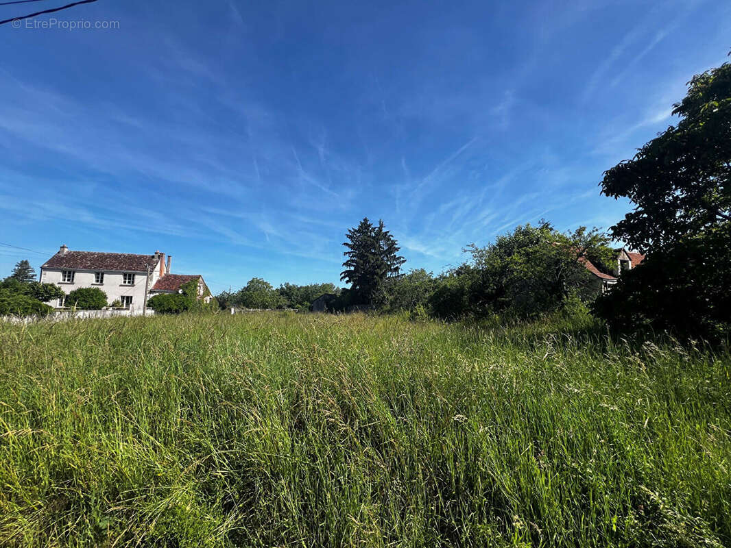Terrain à SAINT-GEORGES-SUR-CHER