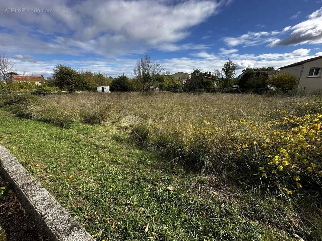 Terrain à SAINT-HILAIRE-DE-BRETHMAS