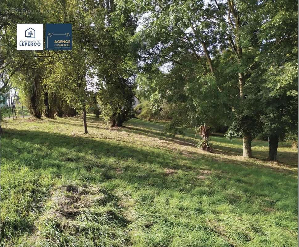 Terrain à VILLERS-COTTERETS