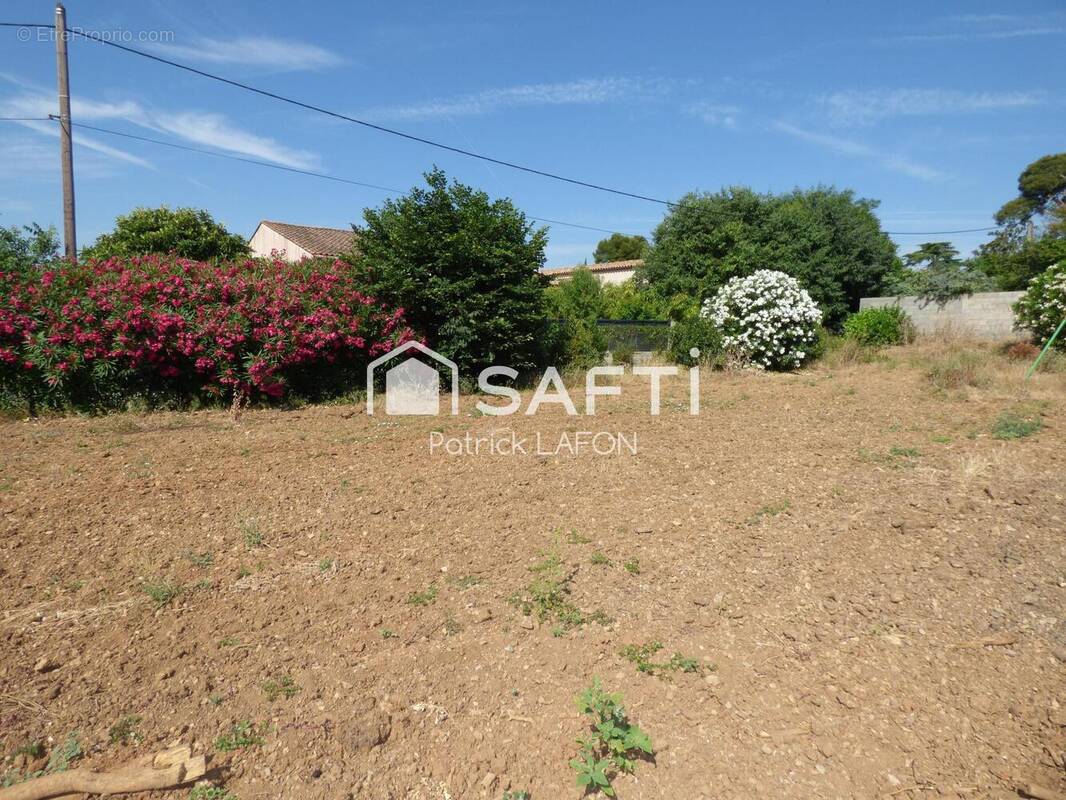 Photo 1 - Terrain à SAINT-ANDRE-DE-SANGONIS