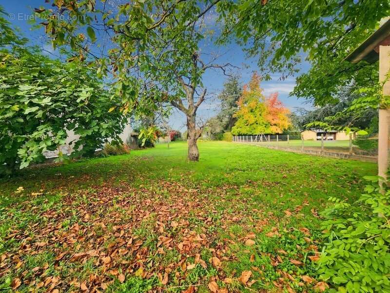 Maison à BORDERES-SUR-L&#039;ECHEZ