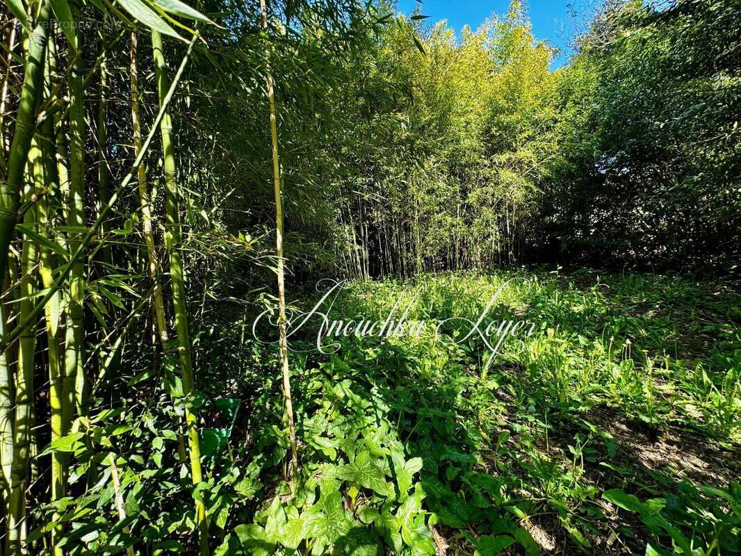 Photo 8 - Maison à SAINT-MACAIRE