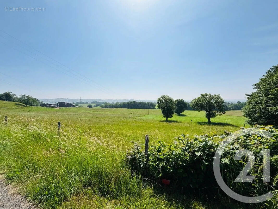 Terrain à CRANDELLES