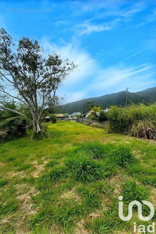 Photo 1 - Terrain à SAINT-LOUIS