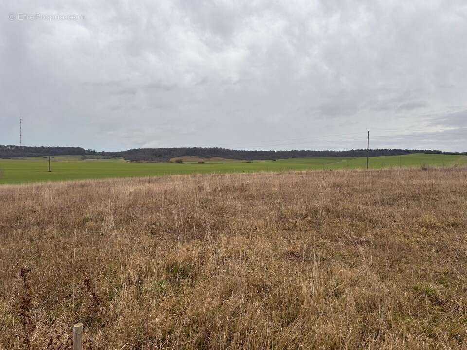 Terrain 723 m² à Mesnieres-En-Bray  - photo 2
