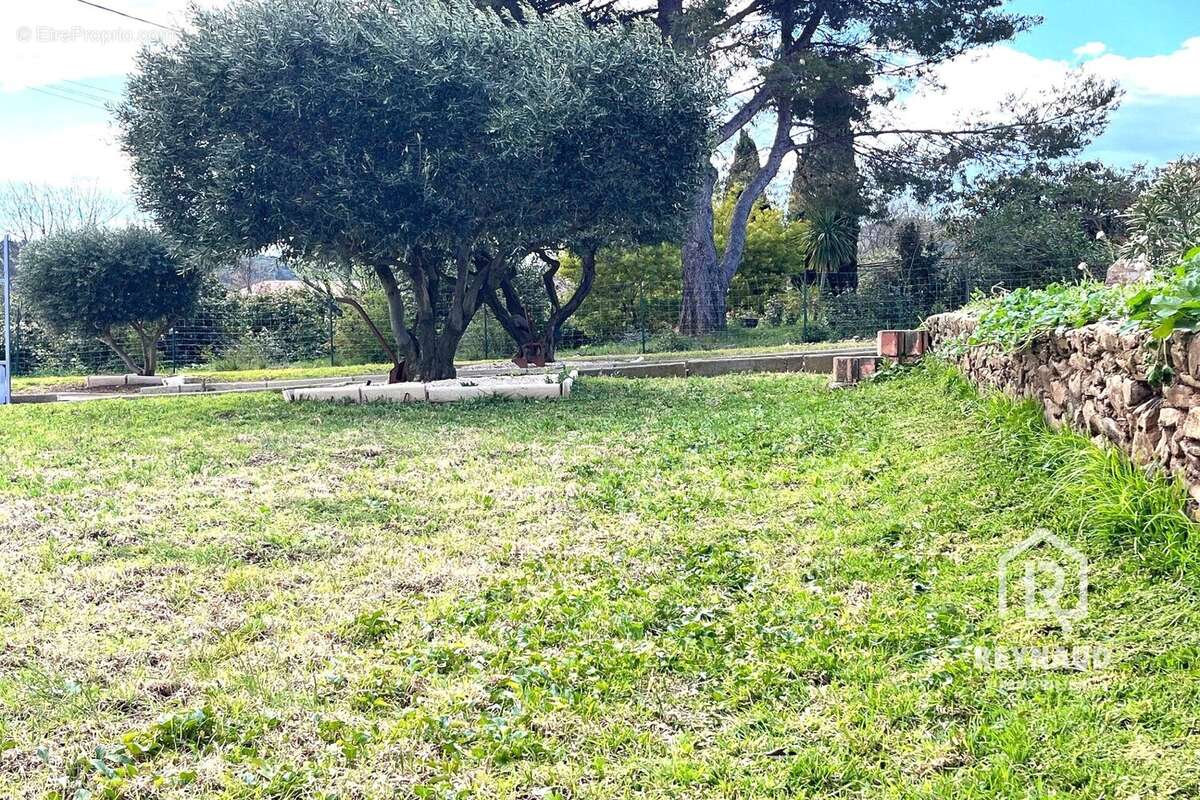 Terrain à CLERMONT-L'HERAULT