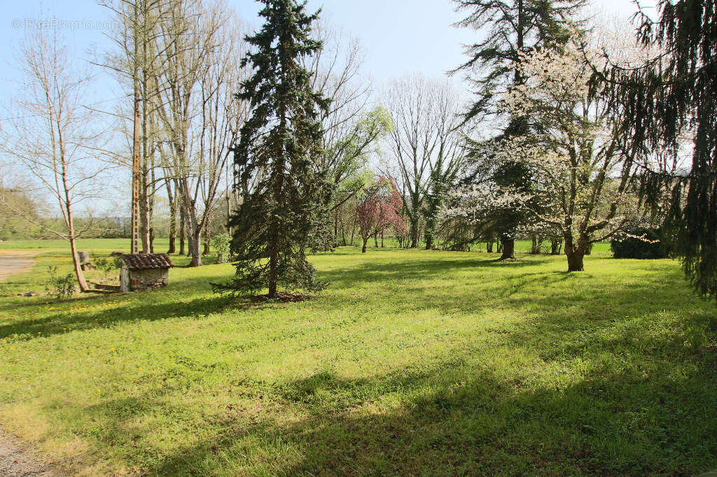 Rare : propriété avec moulin à eau - photo 6