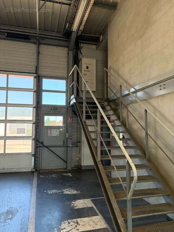 EXCLUSIVITE ! Local d'activité emplacement numéro 1 - photo 12