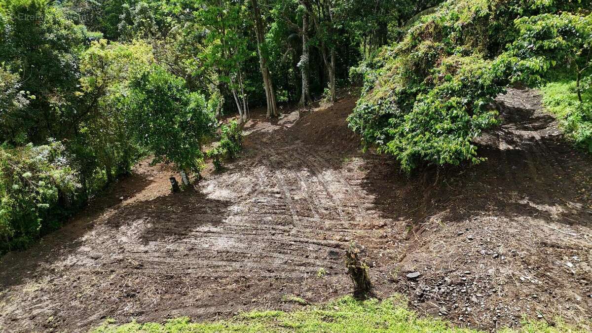 Photo 2 - Terrain à FORT-DE-FRANCE
