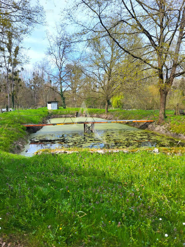 Terrain à TOUR-EN-SOLOGNE