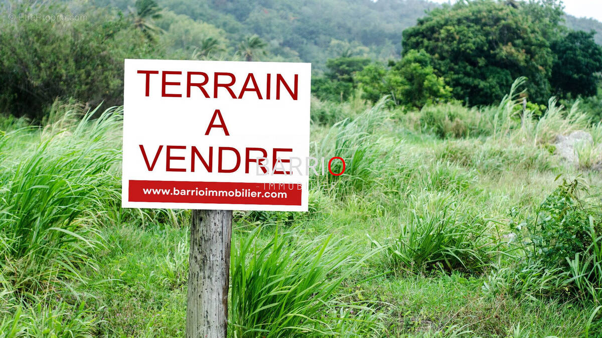 Terrain à LAROQUE-DES-ALBERES