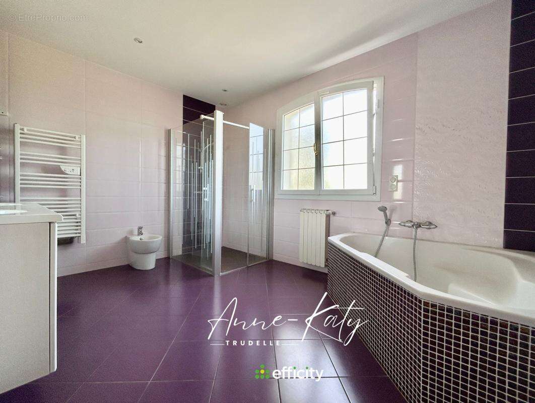 Maison 252 m² à Martinet  - photo 5