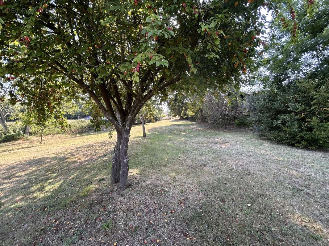 Maison de village T8, garage, grange, piscine sur 3456m² - photo 13