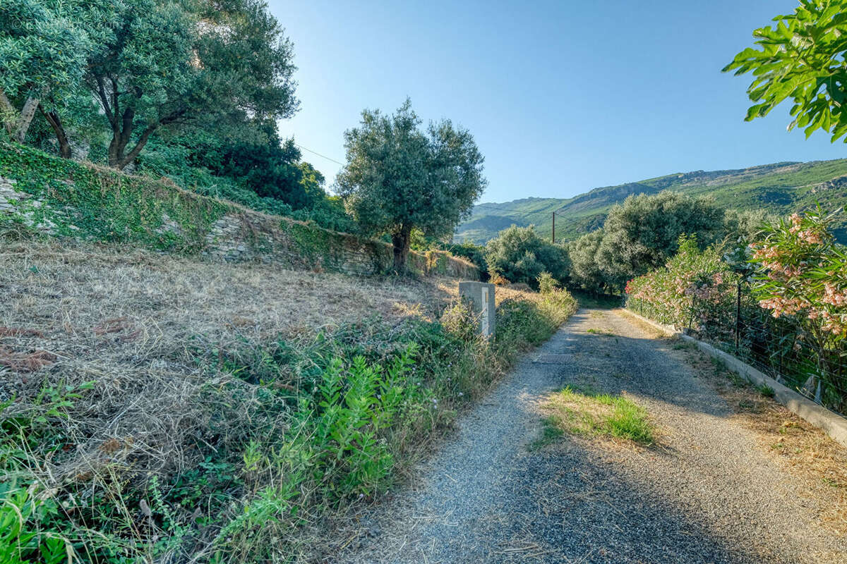 Terrain à BRANDO