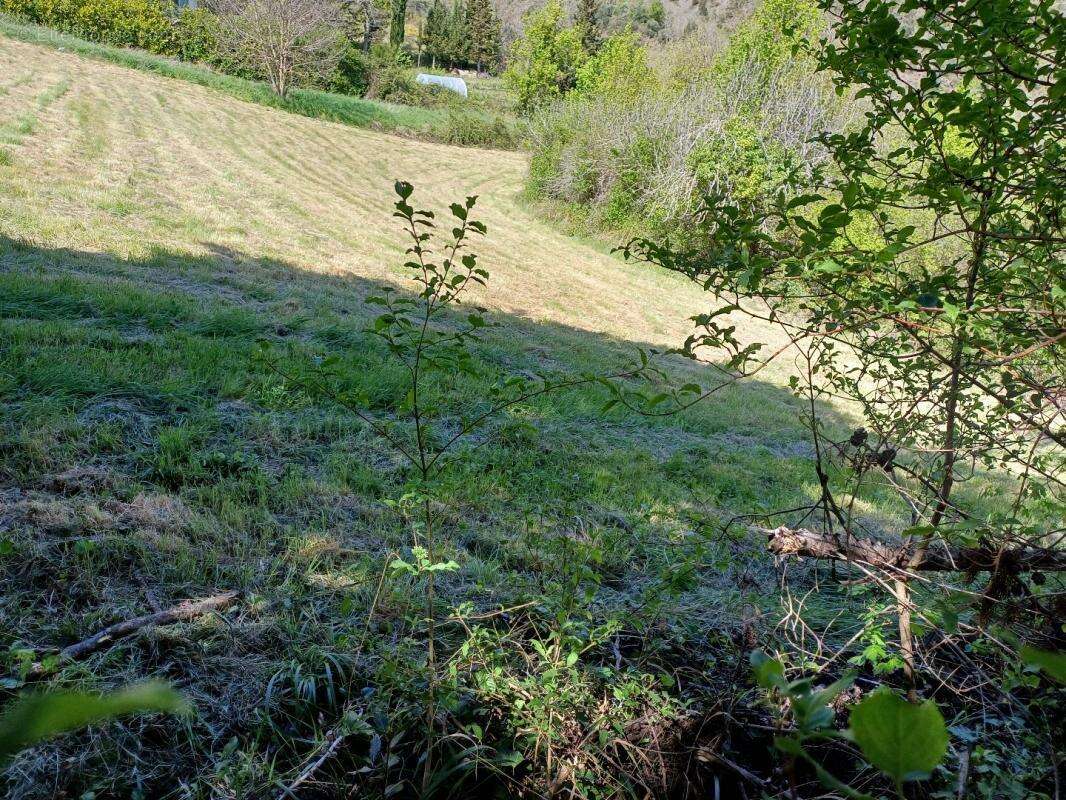 Terrain à GINOLES